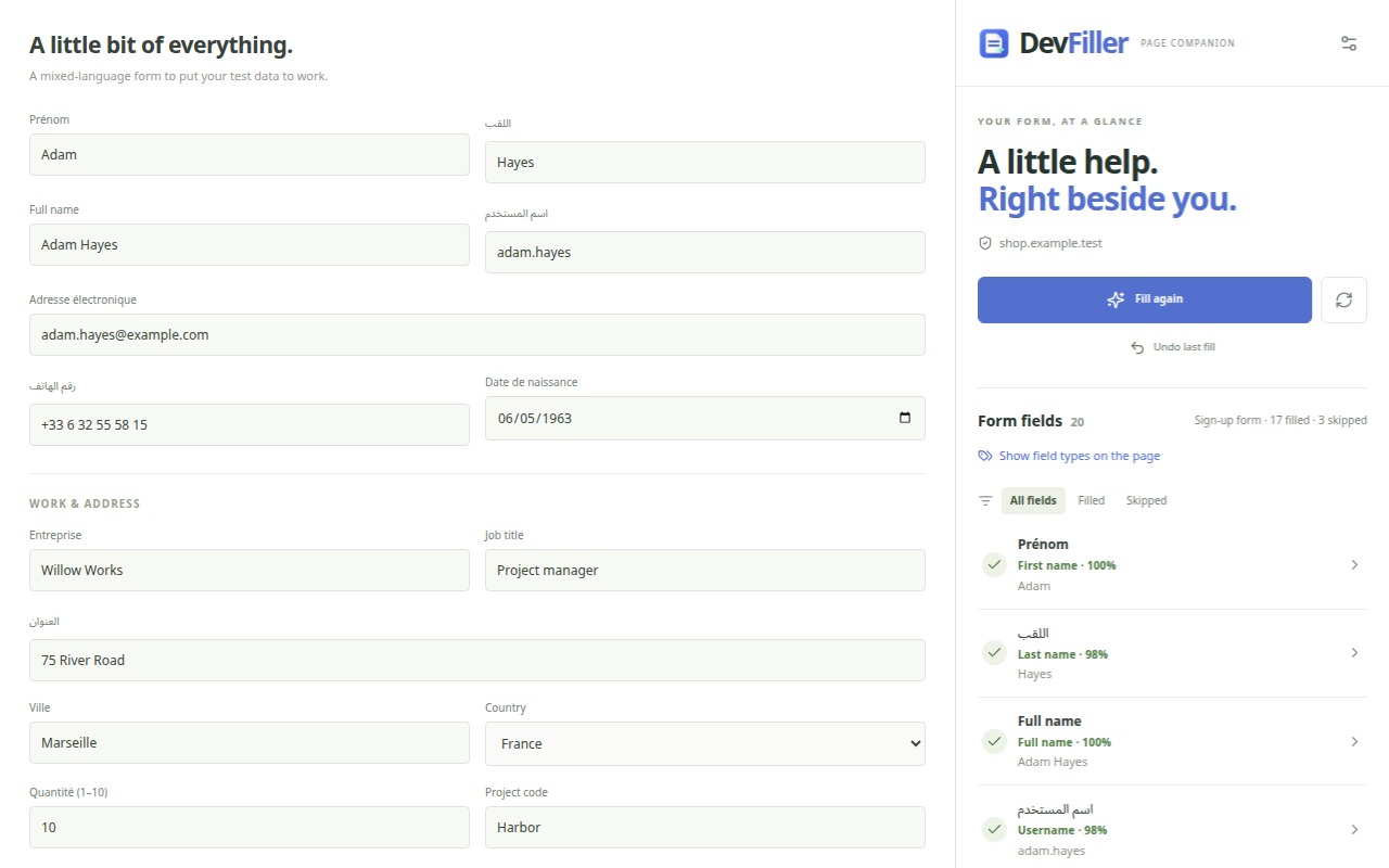A filled form with the DevFiller side panel listing 17 filled and 3 skipped fields